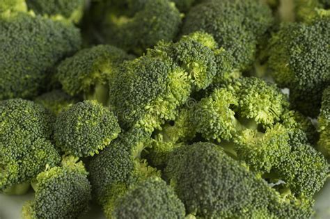 Albero Verde Fresco Dei Broccoli Su Fondo Scuro Immagine Stock