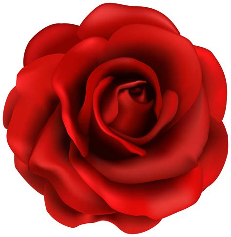 Rose Flower Cartoon Images Roses Red Rose Outline Clipart Free