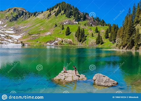 Mountains And Trees In Switzerland Surrounded By The Lake Lac Lioson
