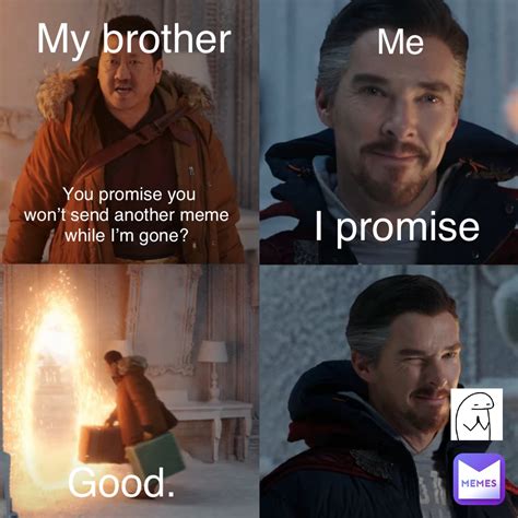 You Promise You Wont Send Another Meme While Im Gone My Brother Me I