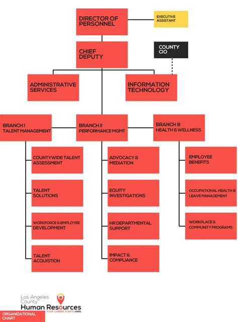 Your Guide To The Hr Organizational Chart And Departm