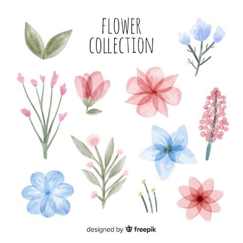 Colección De Flores Vector Gratis