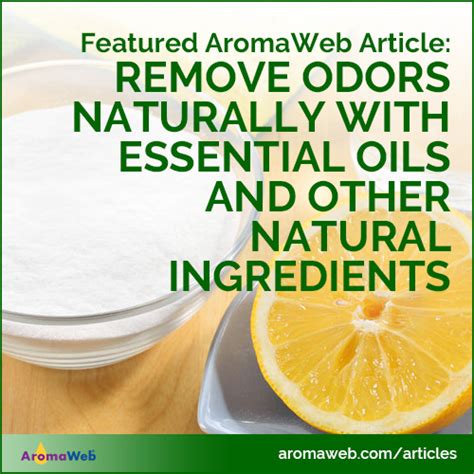 Remove Odors Naturally Using Essential Oils And Other Natural