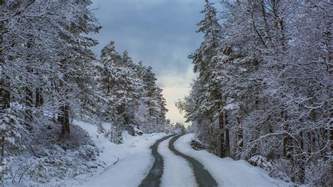 Pictures Norway Rogaland Winter Nature Snow Roads Forests 1920x1080