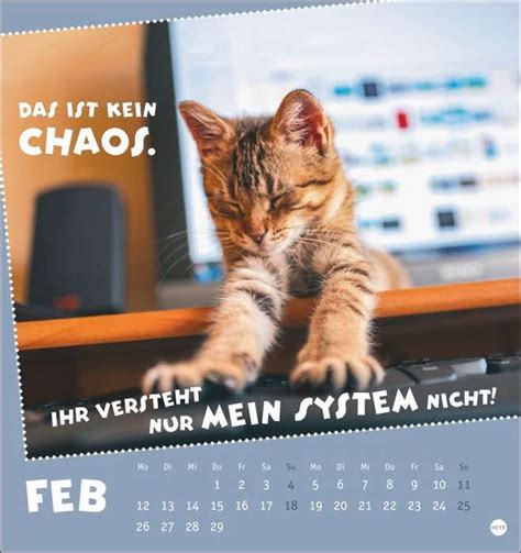 Mach Mal Pause Katzen Postkartenkalender F R Das Arbeitstier In