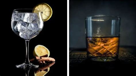 The Major Differences Between Gin Vodka Whiskey And Rum