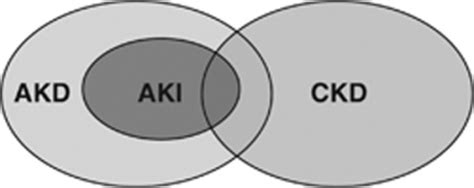 Overview Of Aki Ckd And Akd Overlapping Ovals Show T Open I