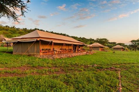 Los 10 Mejores Campings En Kilimanjaro Region Tripadvisor