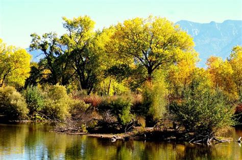 Rio Grande Nature Center State Park Albuquerque 2021