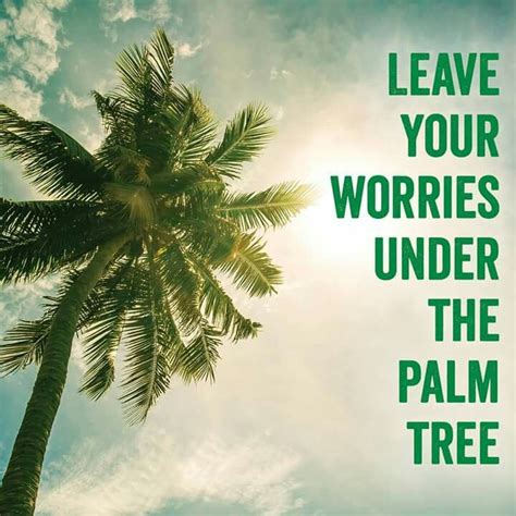 How vainly men themselves amaze to win the palm, the oak, or bays famous quotes. Leave your Worries under the Palm Tree | Palm tree quotes, Beach quotes funny, Tree quotes