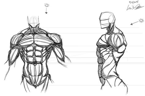 Male Torso Anatomy Study By Neonfluux On Deviantart