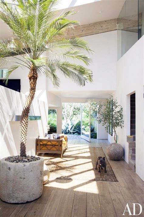 Palm Tree Decor For Living Room Palm Trees Take Interiors On A