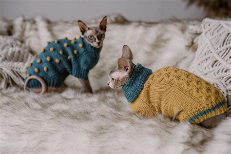Cable Knit Sweater For Cat Alpaca Wool Devon Rex Clothes Etsy