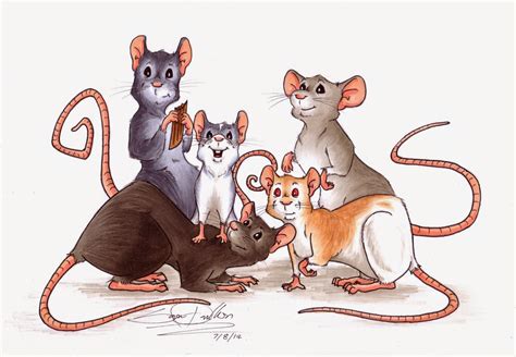 Sara Dunkerton Illustration And Animation Pet Portraits Rat Pack
