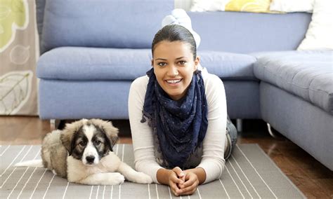 West loop animal clinic is dedicated to providing superior veterinary and boarding services. Lee's Summit Animal Hospital | Lee's Summit Veterinarian