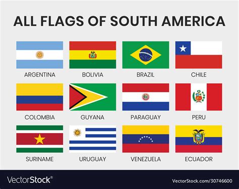 Flags All South America Countries Royalty Free Vector Image