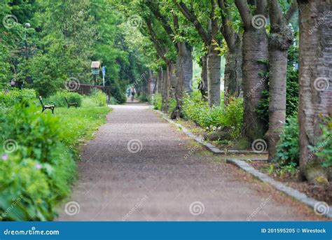 Pathway Surrounded By Trees And Greenery In The Park Stock Image