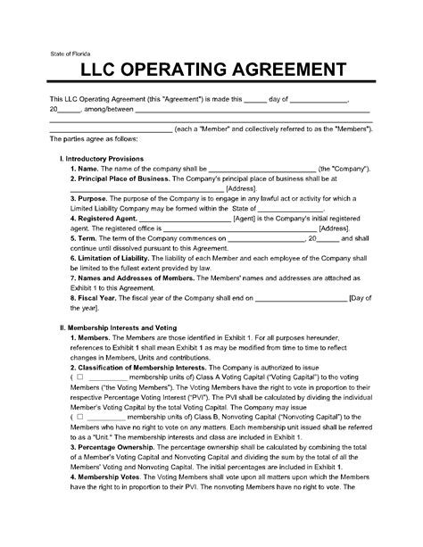 Florida Llc Operating Agreement