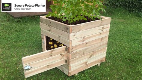 Because potatoes grow out of their stem, these plants can be grown almost anywhere the stem is not exposed. Animated Assembly Video - Square Potato Planter by Zest 4 ...