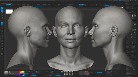 Hd Female Head Model 13