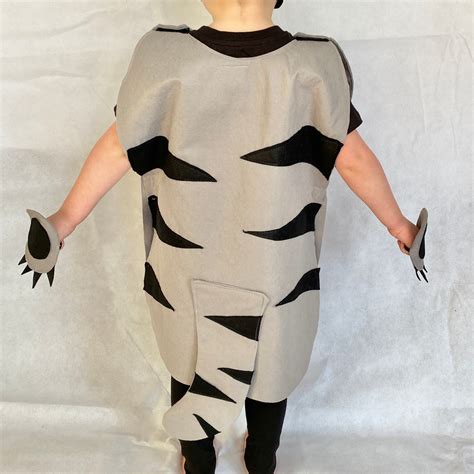 Kids Tabby Cat Costume Adult Tabby Cat Outfit Book Character Etsy Canada