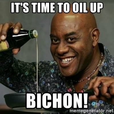 It S Time To Oil Up Bichon Ainsley Hariott Oil Meme Generator