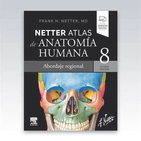 Netter Atlas De Anatom A Humana Abordaje Regional Edici N