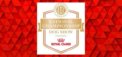 Akc National Championship Dog Show Presented By Royal Canin Orange