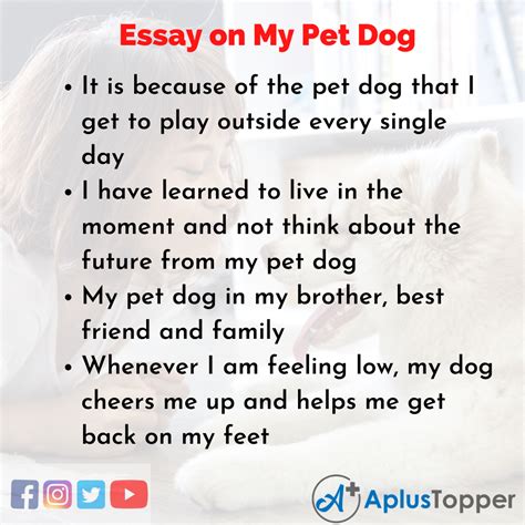 Essay On My Pet Dog My Pet Dog Essay In English For Students And