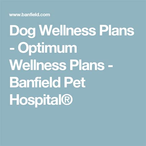 Dog Wellness Plans Optimum Wellness Plans Banfield Pet Hospital