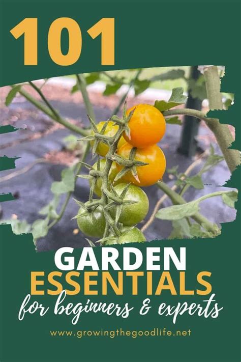 101 Garden Essentials For Beginners And Experts 2023
