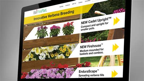 Ball Floraplant Unveils Redesigned Website Greenhouse Grower
