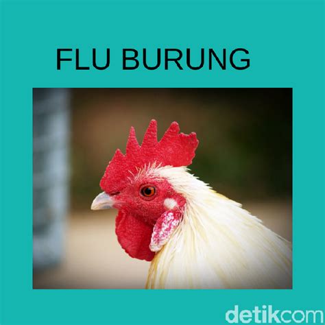 Main tebak gambar seru dan menyenangkan sekaligus menguji imajinasi, logika & nalar. Seberapa Kreatif Kamu Bisa Tebak Gambar-gambar Ini? - Foto 5