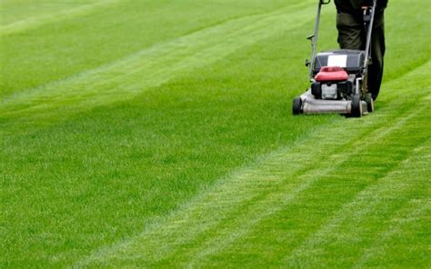 Lawn Mowing Patterns And Techniques The Lawn Mower Guru