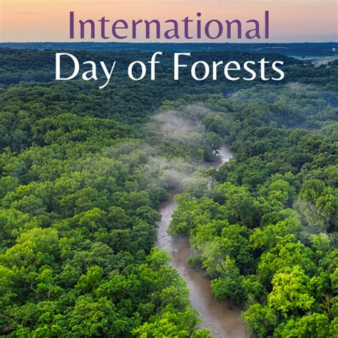 Sunday 21st March International Day Of Forests Harmony Healing