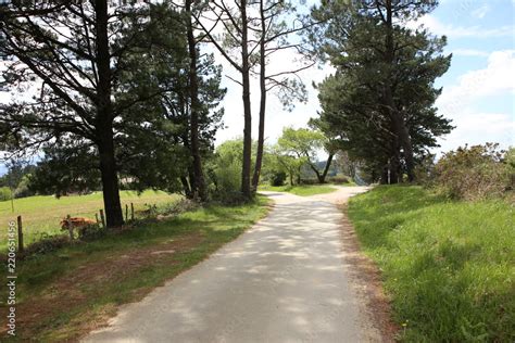 Foto De Gelber Pfeil Am Camino Del Norte Mit Beginn In Irun Do Stock