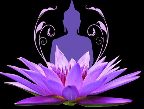 La Flor De Loto ¿conoces Su Significado Y Simbología The Color Blog