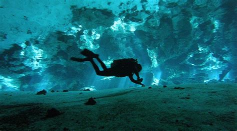 Diving In Cenotes Cancun Scuba Center