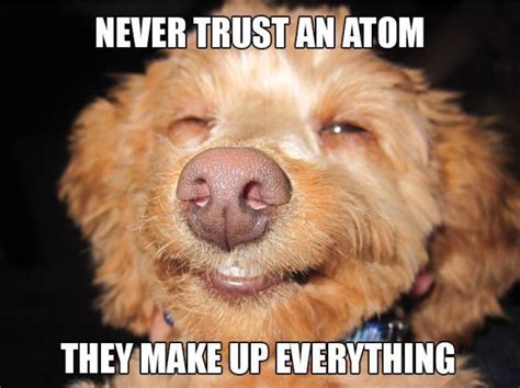 Dog Skeptical Never Trust An Atom Animal Meme Animal Memes Funny
