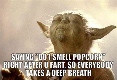 Yoda Smell Meming Wiki
