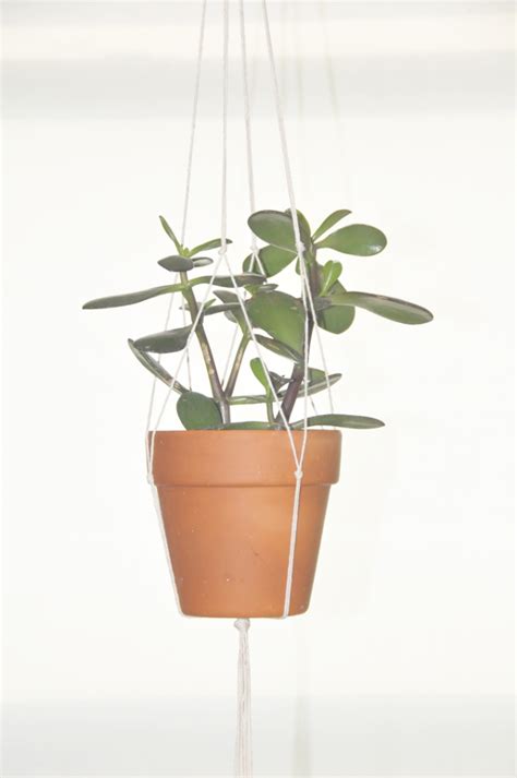 Diy Hanging Plant Holder A Daily Something
