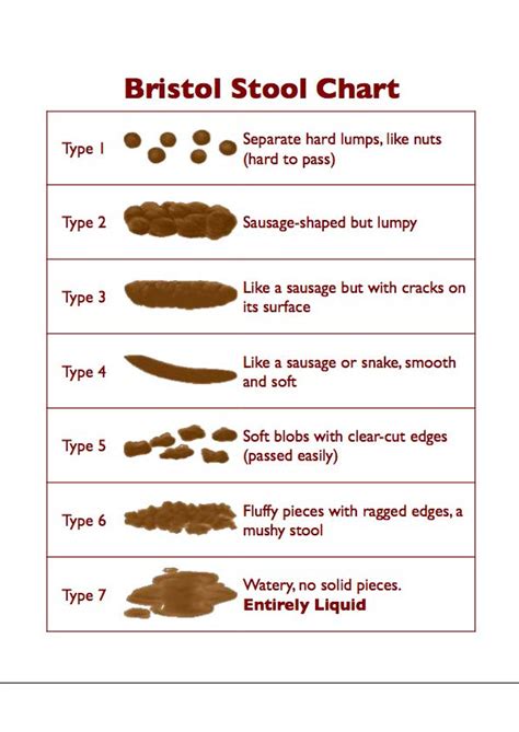 Bristol Stool Chart1 Grains And Legumes Nutrition Council