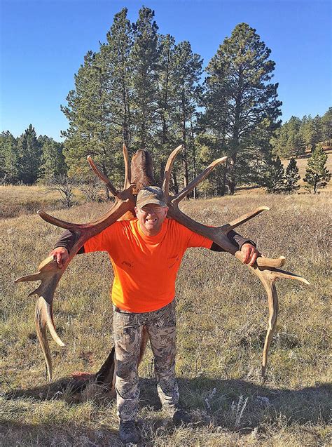 Massive Bull Elk Is The Latest Montana Nontypical Record Outdoors