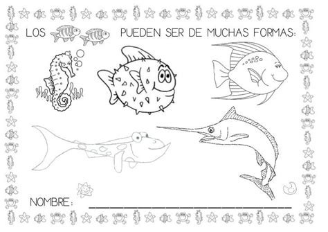 Proyecto Los Peces Ocean Animals Sea Animals Animals
