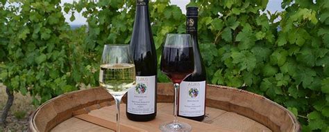 Schauen sie sich 0 bilder an und lesen sie 15 bewertungen. Weingut Albus - Wein direkt ab Hof kaufen | WirWinzer.de