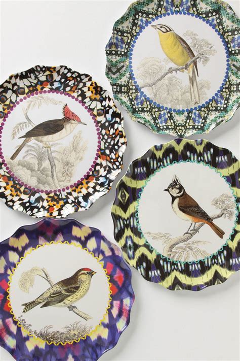 Continental Bird Plates Bird Plates Anthropologie Plates Plates