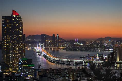 The Essential Busan City Guide City Guide Korea Travel City