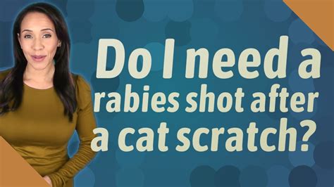 Do I Need A Rabies Shot After A Cat Scratch Youtube