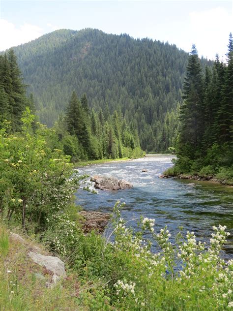 Upper North Fork Of The Clearwater River Inland 360