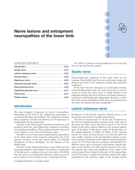 Nerve Lesions And Entrapment Neuropathies Of The Lower Limb Docslib